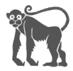horoscope chinois - signe chinois le singe